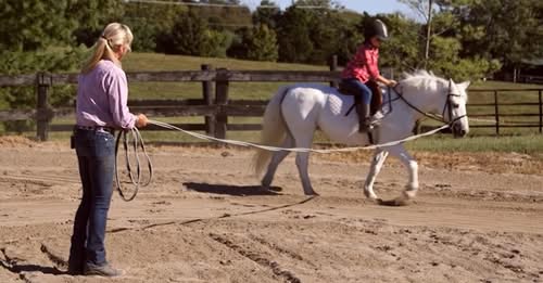 Pályázati felhívás 